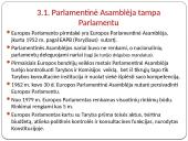 Europos sąjungos  institucijos ir valdymas 13 puslapis