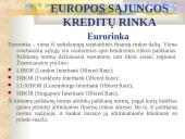 Europos Sąjungos (ES) finansinė sistema 11 puslapis