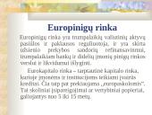 Europos Sąjungos (ES) finansinė sistema 12 puslapis