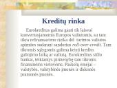 Europos Sąjungos (ES) finansinė sistema 13 puslapis
