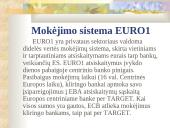Europos Sąjungos (ES) finansinė sistema 18 puslapis