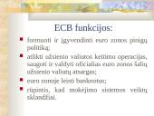 Europos Sąjungos (ES) finansinė sistema 4 puslapis