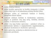 Europos Sąjungos (ES) finansinė sistema 6 puslapis