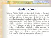 Europos Sąjungos (ES) finansinė sistema 10 puslapis