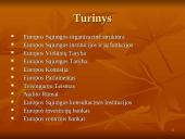 Europos Sąjungos (ES) institucijų struktūra 2 puslapis