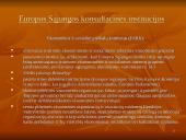 Europos Sąjungos (ES) institucijų struktūra 16 puslapis