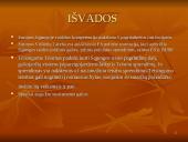 Europos Sąjungos (ES) institucijų struktūra 19 puslapis