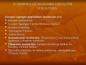 Europos Sąjungos (ES) institucijų struktūra 3 puslapis