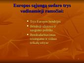 Europos Sąjungos (ES) institucijų struktūra 4 puslapis