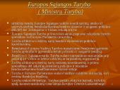 Europos Sąjungos (ES) institucijų struktūra 7 puslapis