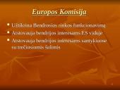 Europos Sąjungos (ES) institucijų struktūra 9 puslapis