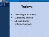 Europos Sąjungos (ES) konkurencijos politikos instrumentų taikymas: atvejų analizė 2 puslapis