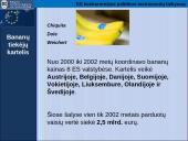 Europos Sąjungos (ES) konkurencijos politikos instrumentų taikymas: atvejų analizė 13 puslapis