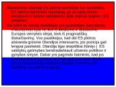 Europos sąjungos plėtra ir jos problemos 12 puslapis