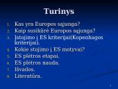 Europos sąjungos plėtros etapai: motyvai ir nauda 2 puslapis