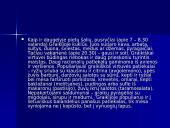 Europos šalių etiketas. Pietų šalys 17 puslapis