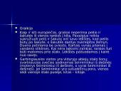 Europos šalių etiketas. Pietų šalys 20 puslapis