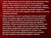 Evoliucija ir jos įrodymai 11 puslapis