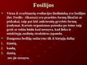 Evoliucija ir jos įrodymai 13 puslapis