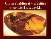 Evoliucija ir jos įrodymai 16 puslapis