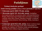 Evoliucija ir jos įrodymai 17 puslapis