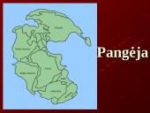 Evoliucija ir jos įrodymai 18 puslapis