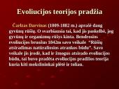 Evoliucija ir jos įrodymai 3 puslapis