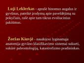 Evoliucija ir jos įrodymai 7 puslapis