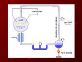 Evoliucija ir jos įrodymai 9 puslapis