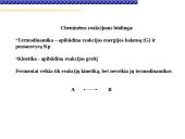 Fermentai, fermentinės reakcijos 11 puslapis