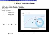 Fermentai, fermentinės reakcijos 12 puslapis