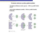 Fermentai, fermentinės reakcijos 14 puslapis