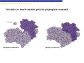 Fermentai, fermentinės reakcijos 15 puslapis