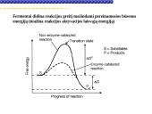 Fermentai, fermentinės reakcijos 17 puslapis