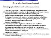 Fermentai, fermentinės reakcijos 19 puslapis