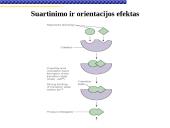 Fermentai, fermentinės reakcijos 20 puslapis