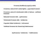 Fermentai, fermentinės reakcijos 4 puslapis