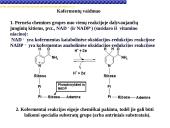 Fermentai, fermentinės reakcijos 7 puslapis