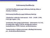 Fermentai, fermentinės reakcijos 8 puslapis