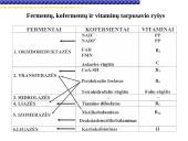 Fermentai, fermentinės reakcijos 9 puslapis