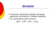 Filipso kreivė: nuo teorijos prie praktikos 7 puslapis