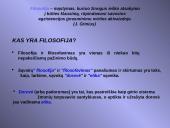 Kokia yra filosofijos samprata? 2 puslapis