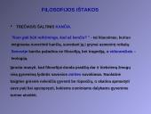 Kokia yra filosofijos samprata? 12 puslapis