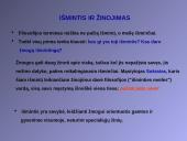 Kokia yra filosofijos samprata? 13 puslapis