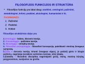 Kokia yra filosofijos samprata? 14 puslapis