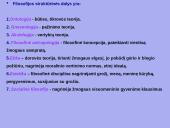 Kokia yra filosofijos samprata? 15 puslapis