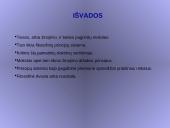 Kokia yra filosofijos samprata? 16 puslapis