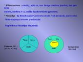 Kokia yra filosofijos samprata? 3 puslapis