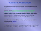 Kokia yra filosofijos samprata? 4 puslapis