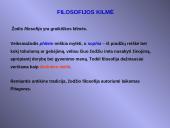 Kokia yra filosofijos samprata? 6 puslapis